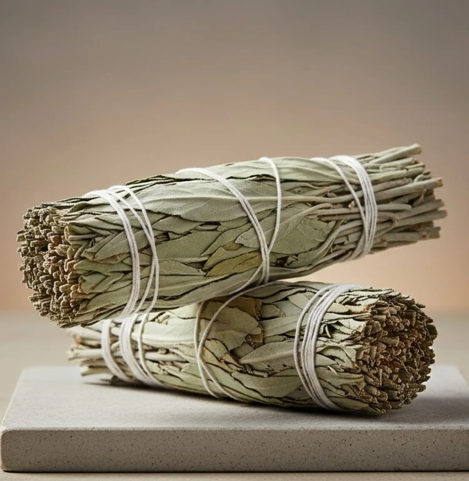 Indian Sage Generated