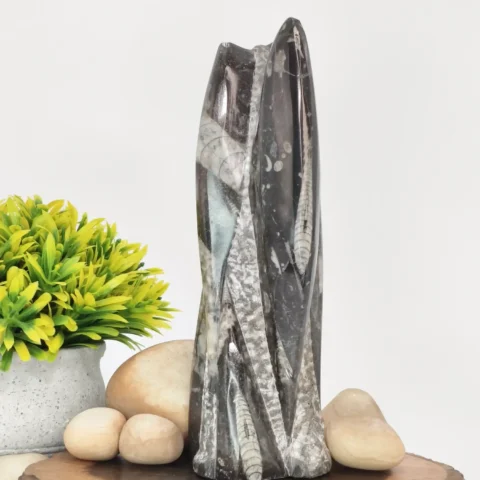 Orthoceras Fossil Stone Tower