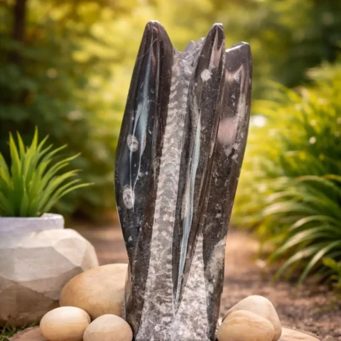 Orthoceras Fossil Stone Tower Natural