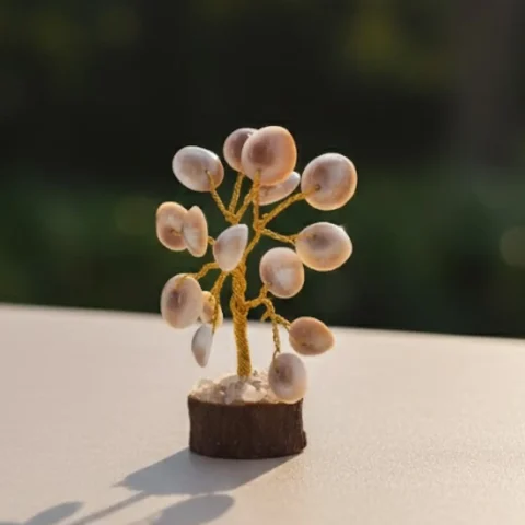 Gomati Chakra
