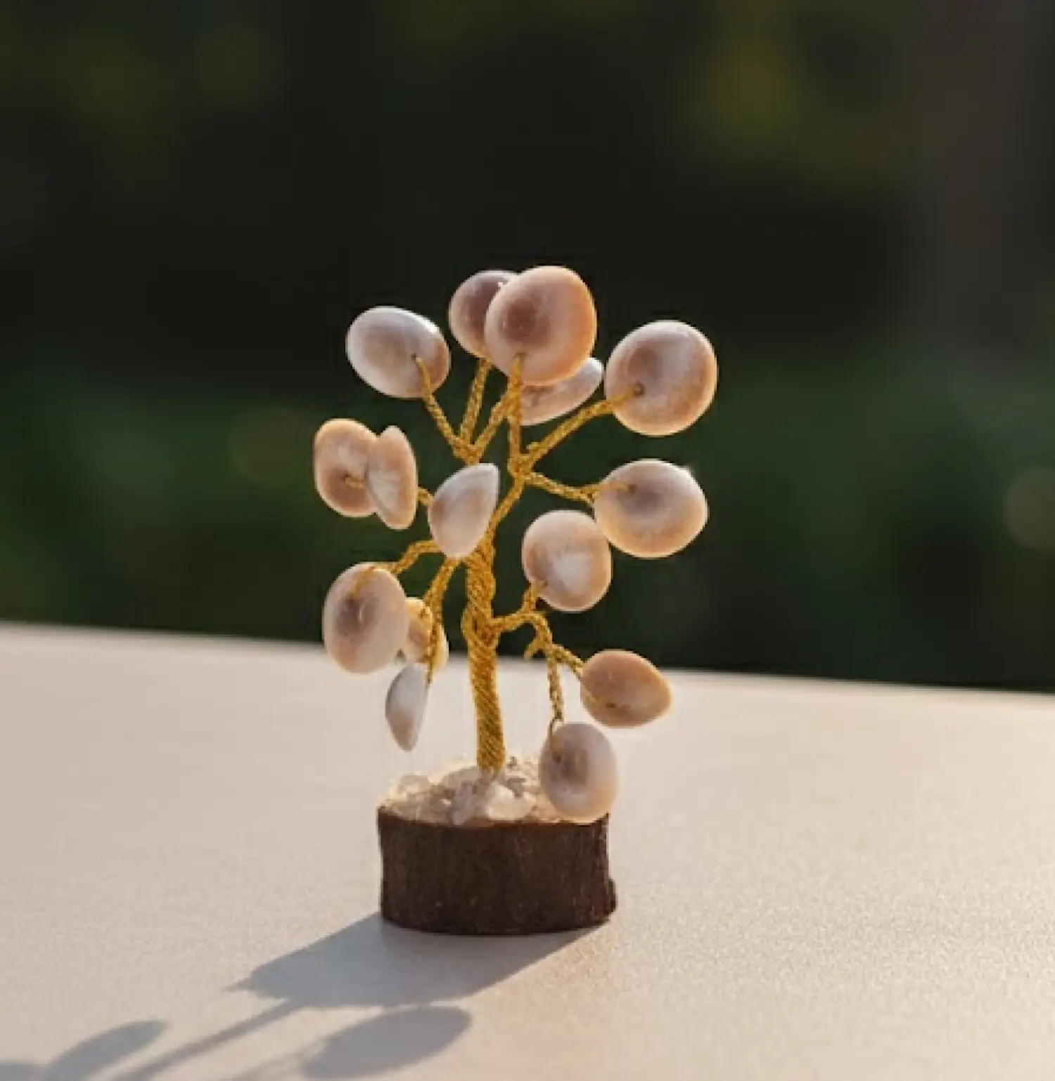 Gomati Chakra