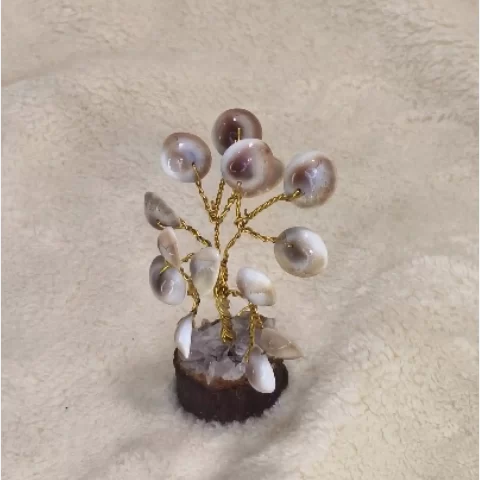 Gomati Chakra