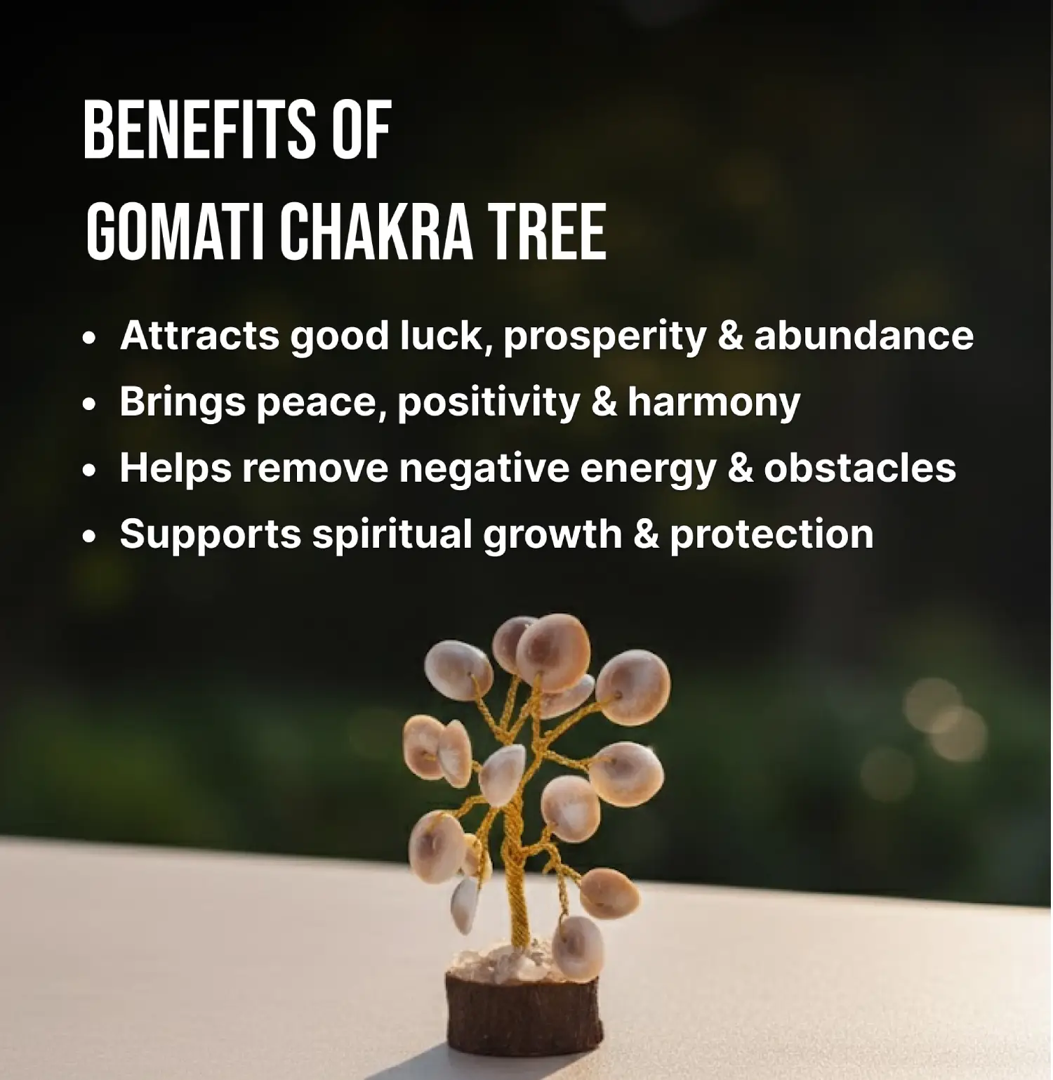 Gomati Chakra Info