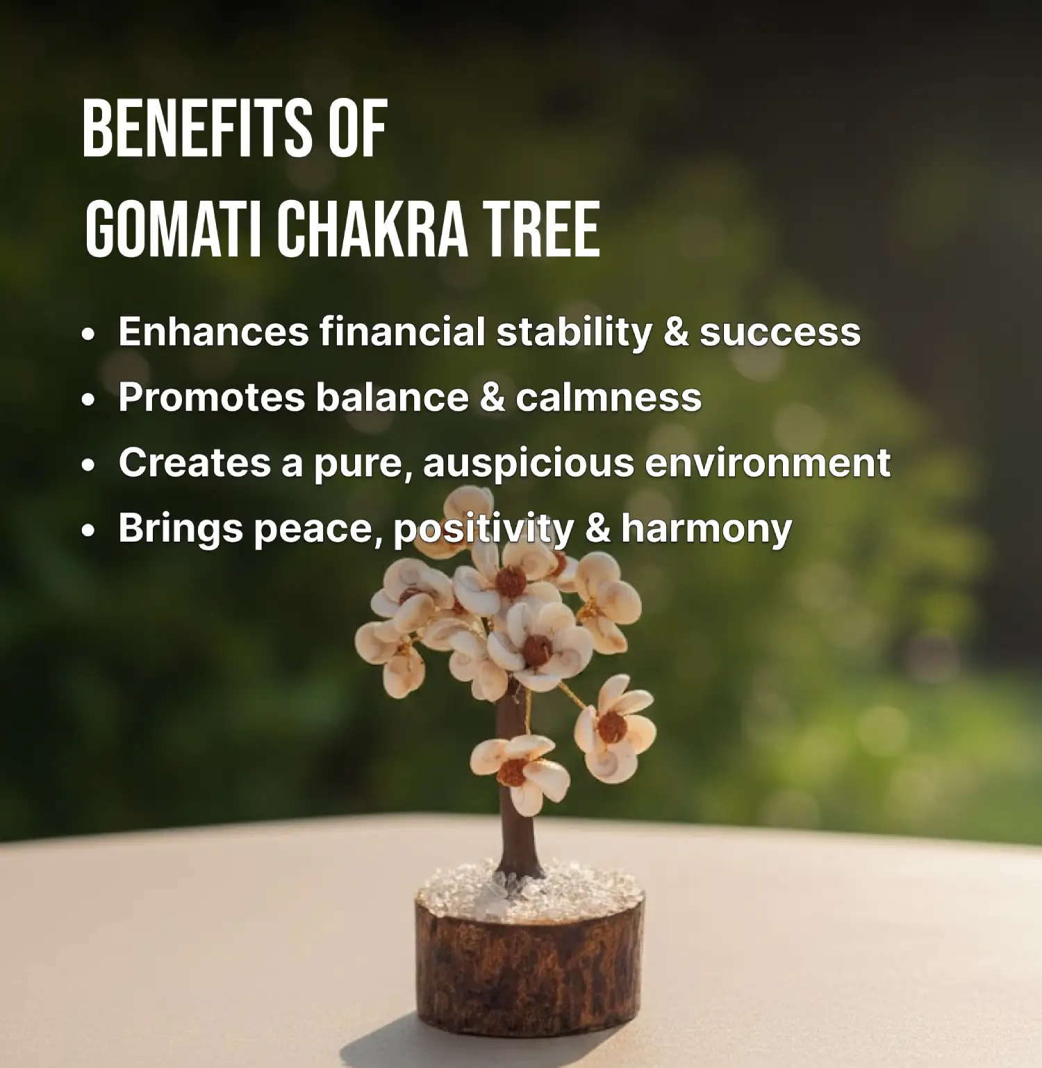 Gomati Chakra with Rudraksh Info