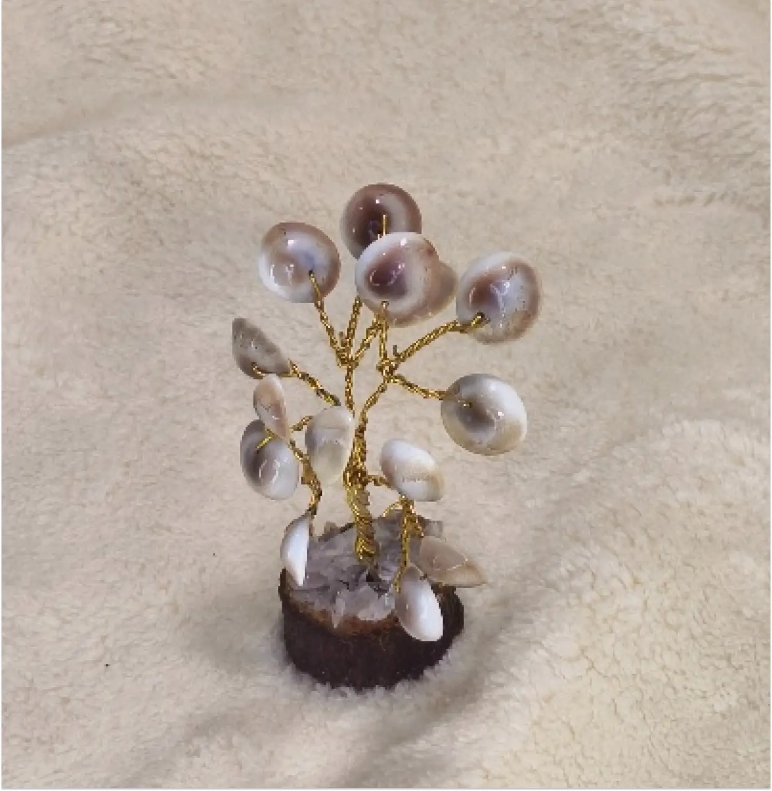 Gomati Chakra