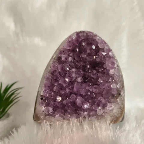 Amethyst Cluster