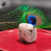 Moonstone Tumble Stone