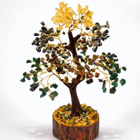 Money-Magnet-tree-Natural